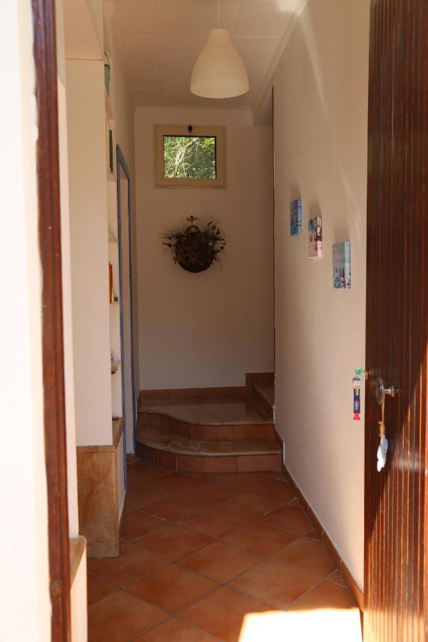B&B Villa Gemini Sant'Agnello Exteriér fotografie